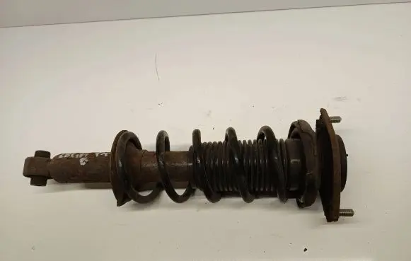 Subaru Legacy Rear shock absorber/damper 20365AL03A