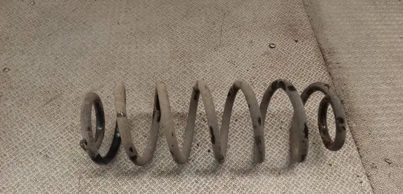 Volkswagen PASSAT B6 Rear coil spring 
