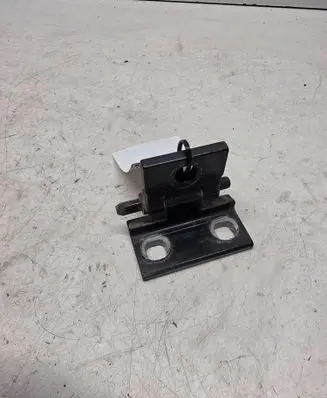 Volvo S80 Rear door lower hinge 1234