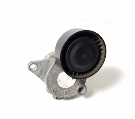 Infiniti Q70 Y51 Timing belt/chain tensioner A6512002170