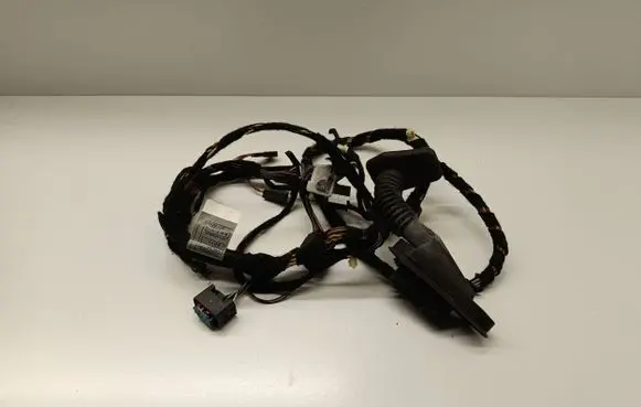 BMW X5 E53 Front door wiring loom 8386010