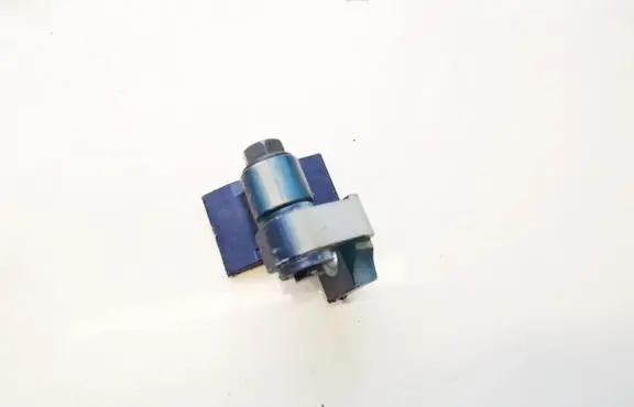 BMW 1 F20 F21 Rear door lower hinge