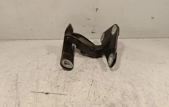 BMW X5 E70 Tailgate hinge 14187910