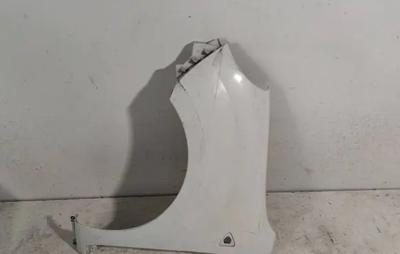 Renault Kangoo II Fender