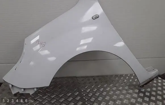 Renault Kangoo II Fender 