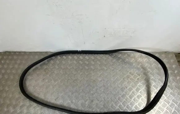 KIA EV6 Rear door rubber seal (on body)
