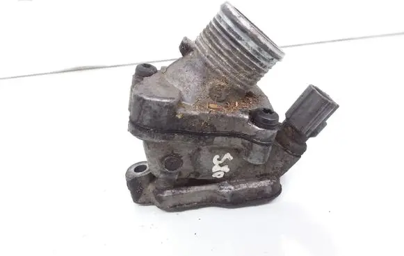 Thermostat/thermostat housing
