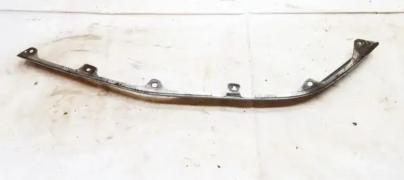 Front bumper lip