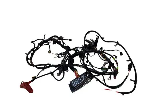 Tesla Model S Other wiring loom 100909601H 101130100C
