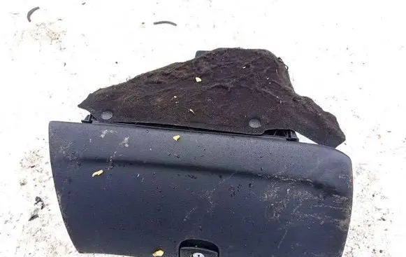 Peugeot 407 Glove box 9644581177 a100022