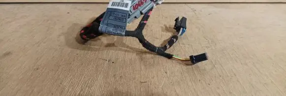 Renault Laguna III Panel wiring 52419417 1203981 CA23264