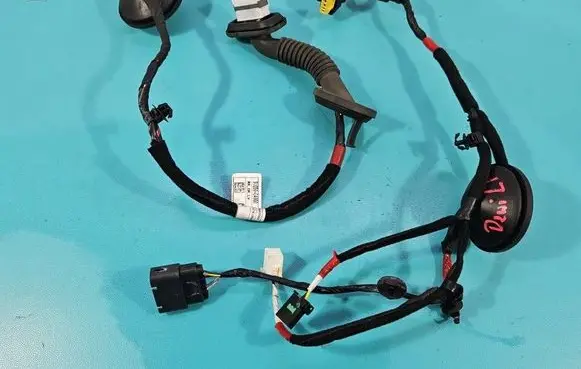 Hyundai i30 Rear door wiring loom 91650G4060 IMPRK1549303