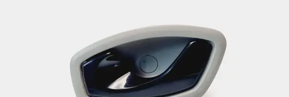 Renault Zoe Front door interior handle 806700006R
