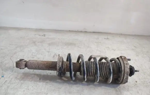 Fiat Freemont Rear shock absorber with coil spring 