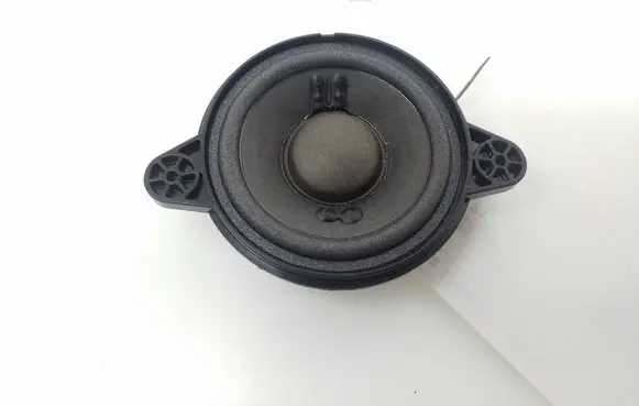 Front door high frequency speaker