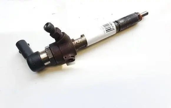 Renault Scenic III - Grand scenic III Fuel injector H8200294788 8200380253