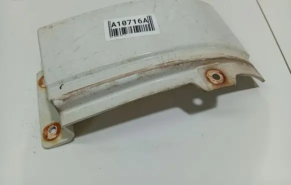 Rear/tail light trim molding