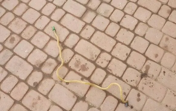 Renault Master III Fuel line/pipe/hose 51TYS