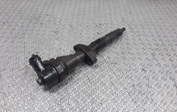 Renault Espace - Grand espace IV Fuel injector 8200084534