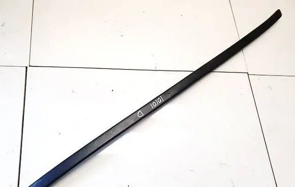 Front door glass trim molding