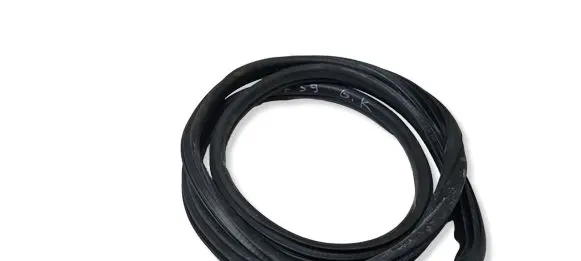 BMW X2 F39 Rear door rubber seal (on body) 7420803