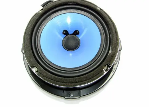 Hyundai Santa Fe Rear door speaker 963002B010