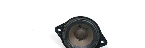 Panel speaker