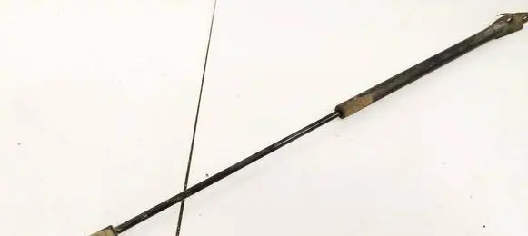 Tailgate/trunk strut/damper
