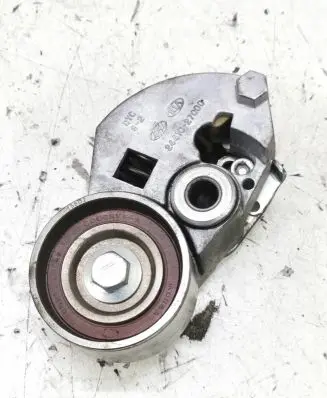 Hyundai Tucson JM Timing belt/chain tensioner 2441027000