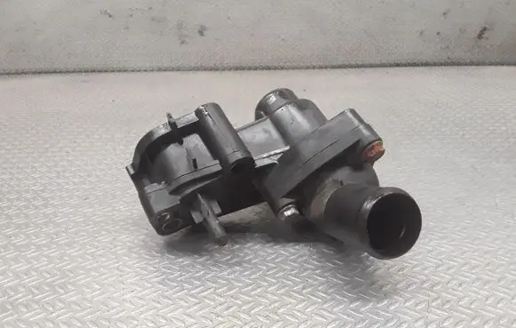Thermostat/thermostat housing