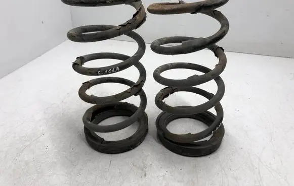 Rear coil spring