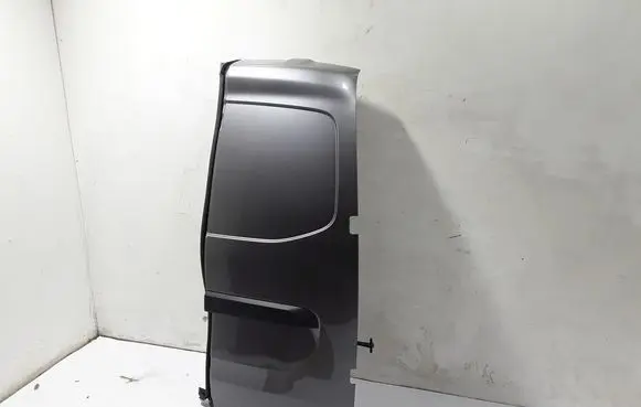 Renault Kangoo III Back/rear loading door 901007309R