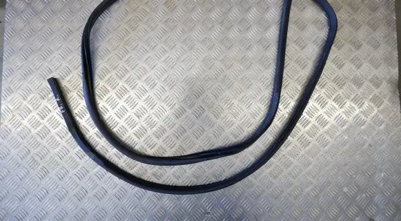 Nissan Leaf II (ZE1) Front door rubber seal