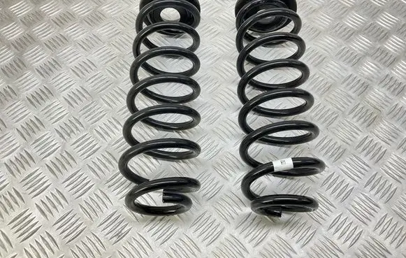 Rear coil spring