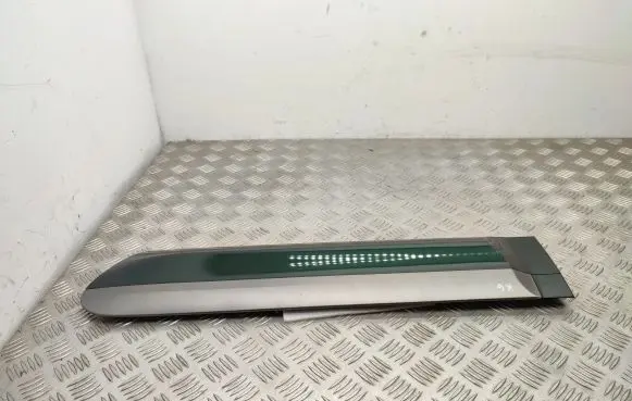 Rear door trim (molding)