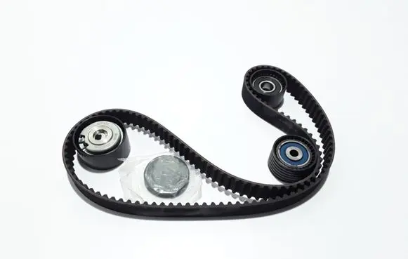 Renault Scenic II - Grand scenic II Timing belt 8201058069