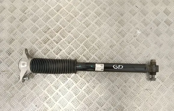 Tesla Model Y Rear shock absorber/damper 118846300E