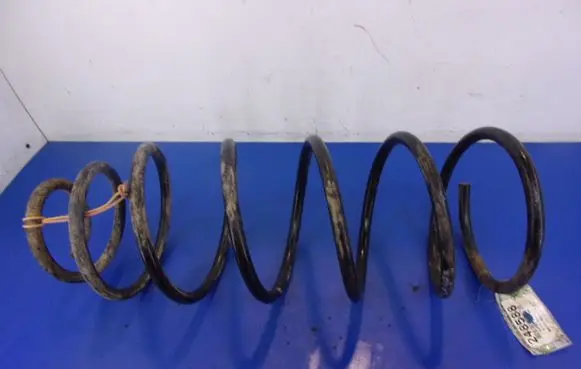 Buick Century Front coil spring
