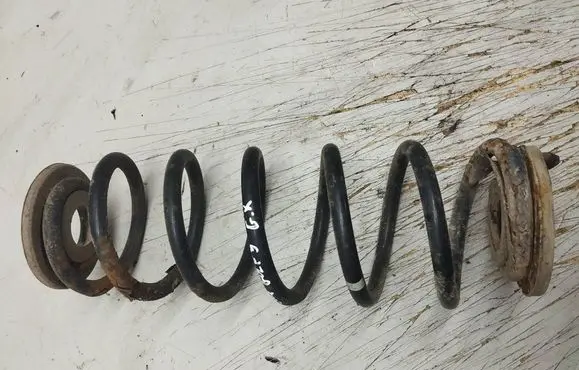 Volkswagen Golf V Rear coil spring 