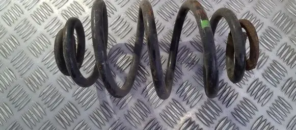 Volkswagen PASSAT B5.5 Rear coil spring