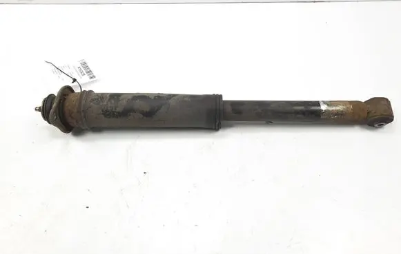 Chevrolet Kalos Rear shock absorber/damper