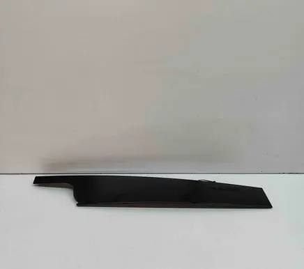 BMW X7 G07 Front door glass trim molding 7429387