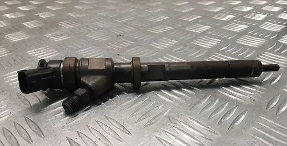 Peugeot Partner Fuel injector 0445110311
