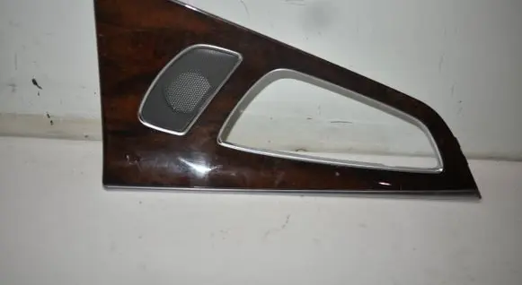 Other rear door trim element