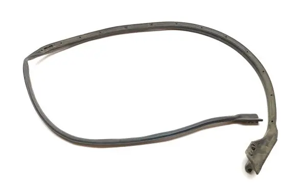 Citroen DS5 Rubber seal front door (on door) 