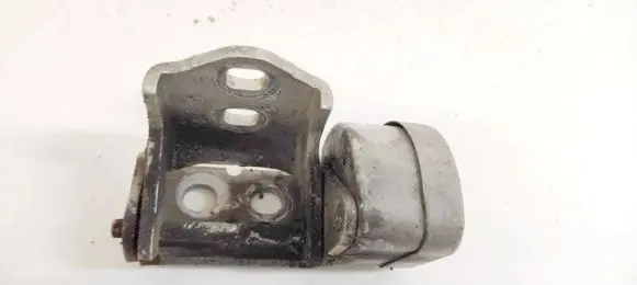 Renault Megane II Rear door lower hinge