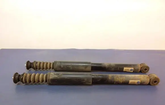Renault Grand Modus Rear shock absorber/damper