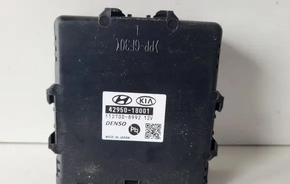 Hyundai Kona I Other control units/modules 4295018001