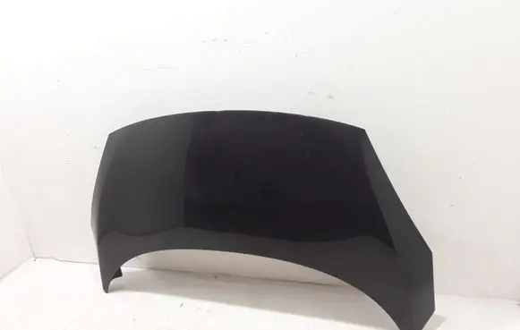 Renault Scenic III - Grand scenic III Engine bonnet/hood 651003439R