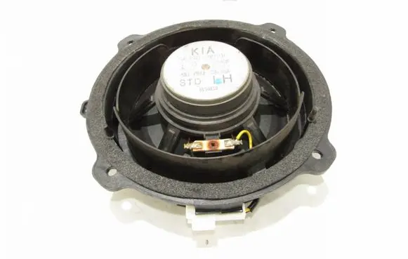 Rear door speaker